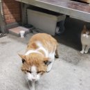 정아네 숯불구이 이미지