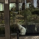 영신노래연습장 이미지