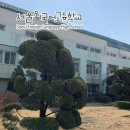 서울외국어고등학교 이미지