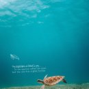 호텔 엘파크 이미지