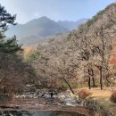 대야산자연휴양림 이미지