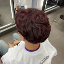 레드컷헤어샾