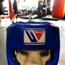 오비복싱 이미지