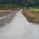 신서촌로 이미지