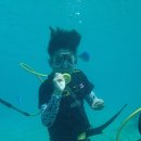 괌 오션워커 패키지 완벽 가이드 🌊 바다 속 산책 체험 후기와 예약 꿀팁!