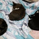 새문한의원 이미지