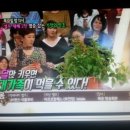 뿌리농장 이미지