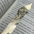 내가 포기하는것을 포기하라