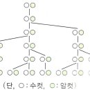 마테마타학원 이미지