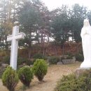 궁근정식당 이미지