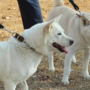 광주광역시 우치동물원 동물병원 이미지