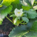 수야농장 이미지