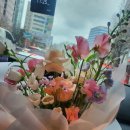 제이라온FLOWER 네이버블로그