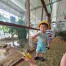 주호 농장 이미지