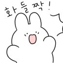 삼보당구클럽 이미지