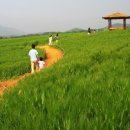 학원농장민박 이미지