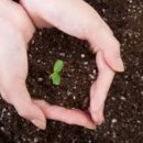 용인대 백두산 태권도 이미지