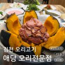 오리오리꿀꿀이 | 김천오리고기 맛집 애당 오리전문점, 단호박 오리구이 별미였던 김천시청맛집