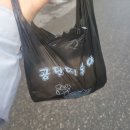 눈물 떡볶이 | 요알못이 전하는 공단떡볶이 비조리 포장 눈물나는 조리후기! 아~ 조리법이 있었구나