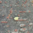 이리북초등학교 이미지