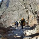 팔공화니 | 팔공산 일반코스활용 암릉 즐기기