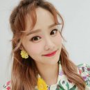 헤이지니 이미지