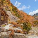 청풍민박 이미지