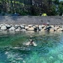 파라다이스모텔;슈퍼