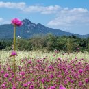 덕현초등학교(2동) 이미지