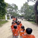 [실외활동] 동구릉 나들이 🌳 이미지