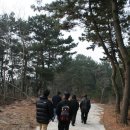 호두태양광발전소 이미지