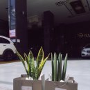 스투키스튜디오 네이버블로그