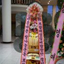 실버합창단 정기연주회 Daum카페