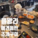 불티나 - 구리시 경춘로 218-6 | 영종도 조개구이 맛집, 을왕리 마시안해변 오션뷰 불티나조개구이 애견동반 후기