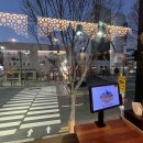 중앙지하도상가(에나몰) | [춘천 맛집] 손으로 뜯어먹는 이색 데이트! '히말라야 인도요리' 푸짐한 2인 세트 후기 🍛