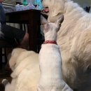 개편한세상 이미지