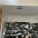 소나무꼬마김밥