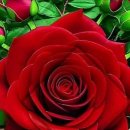 FREDERIC DELARUE ③ - A Message of Love. The Scents Of Joy. etc 12곡 이미지