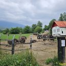 미도농장 이미지