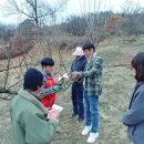 청정과일