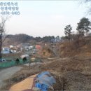 대전대덕구장동보건진료소 네이버블로그