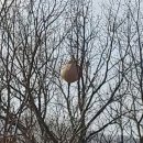 마국산로 이미지