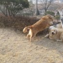 그랜드유치원 이미지