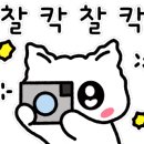 모든날오토캠핑장 이미지