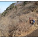 봄 맞이 2월19일 토요일 청계산 이수봉 등산 이미지