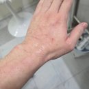 댕곤댕곤 이미지