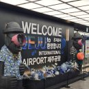 3박 4일 제주도 여행 기록 ✈️ 먹고 쉬고 즐겼던 6월 제주 여행 후기 | 경비 공유