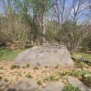 전주수목원 3월의 쌀쌀한 봄날 산책 🌳ㅣ포토 스팟, 카페, 지도, 운영 시간, 주차, 개화 상태, 전주 여행...