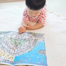어휘 활용 책놀이 | 4세 유아전집 추천 블루래빗 세계 창작 그림책 토끼책방 후기