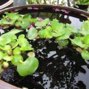 해뜨락펜션 이미지